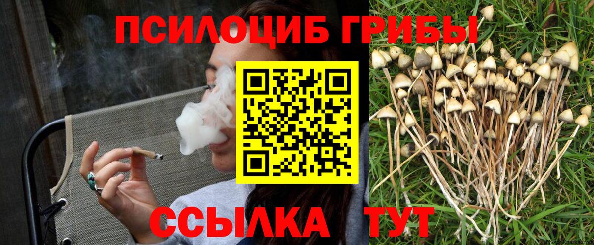 Белореченск  Галлюциногенные грибы Cubensis  Галлюциногенные грибы мицелий  Вход с VPN 